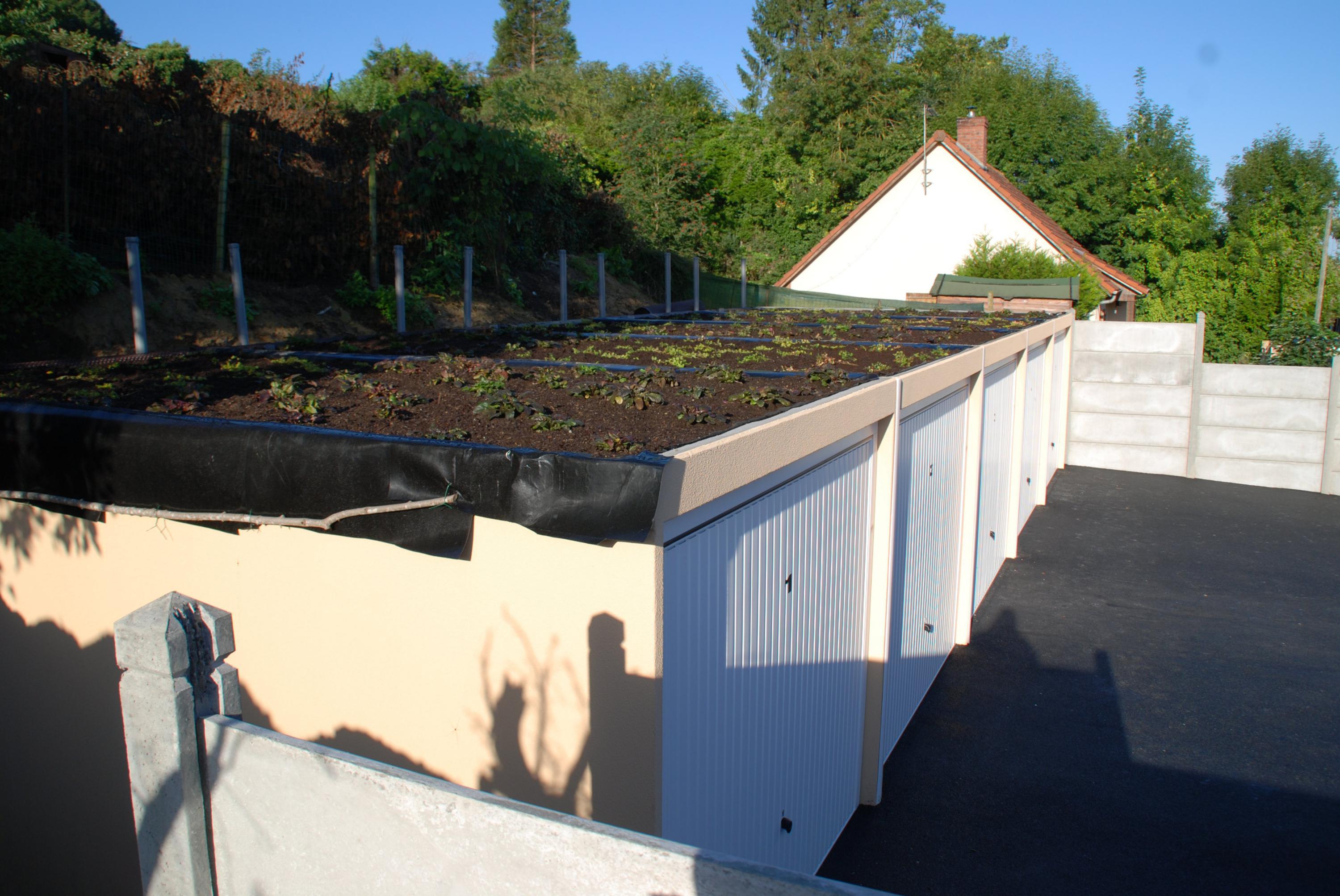 Toiture Végétalisée Garage Préfabriqué